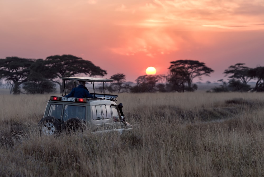 África Safari